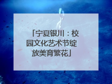 宁夏银川：校园文化艺术节绽放美育繁花